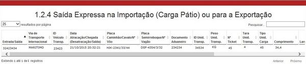 1.2.4 SAÍDA EXPRESSA NA IMPORTAÇÃO (CARGA PÁTIO) OU PARA A EXPORTAÇÃO LAYOUT